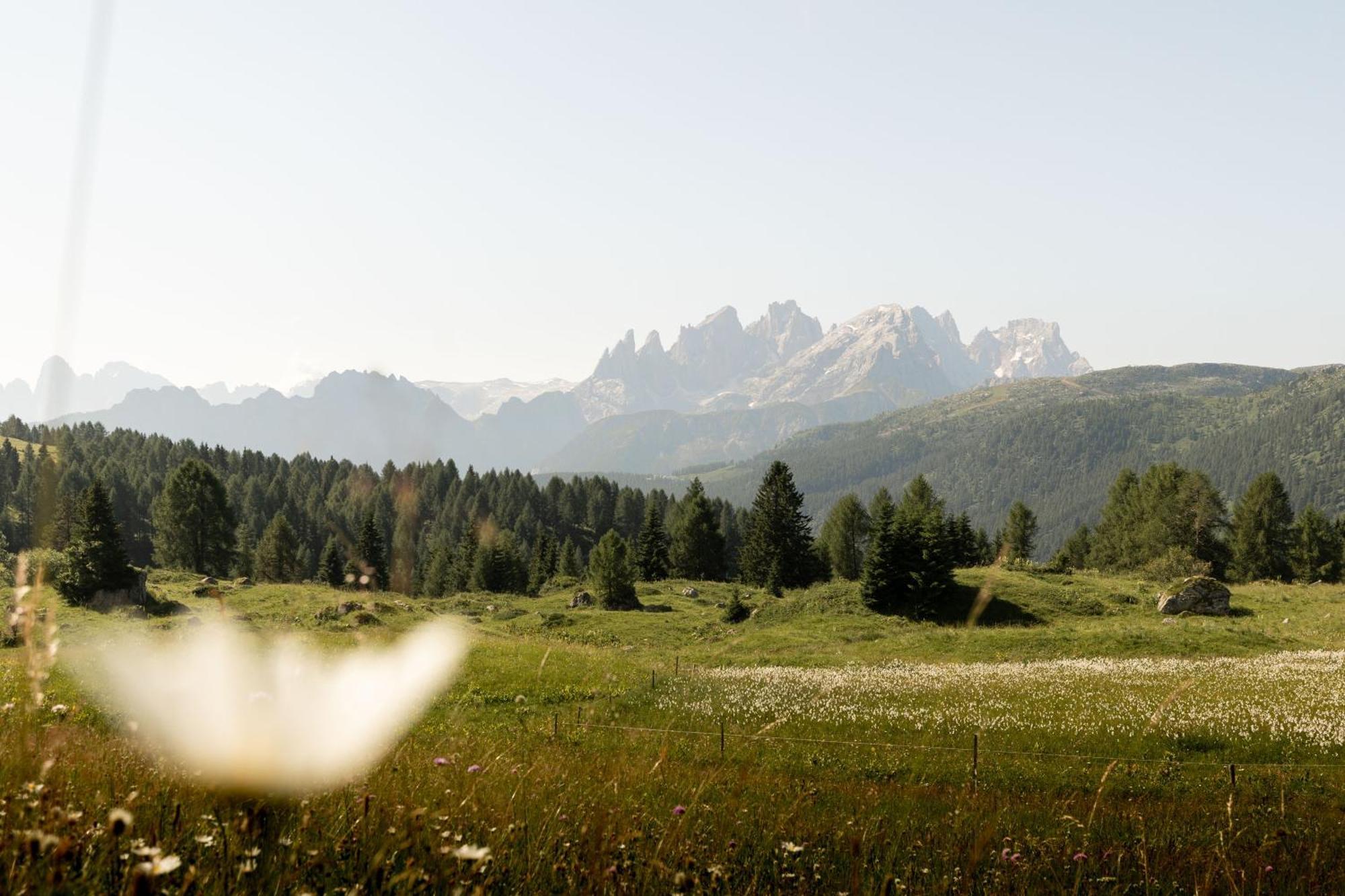 Hotel Al Lago Soraga di Fassa Exterior foto